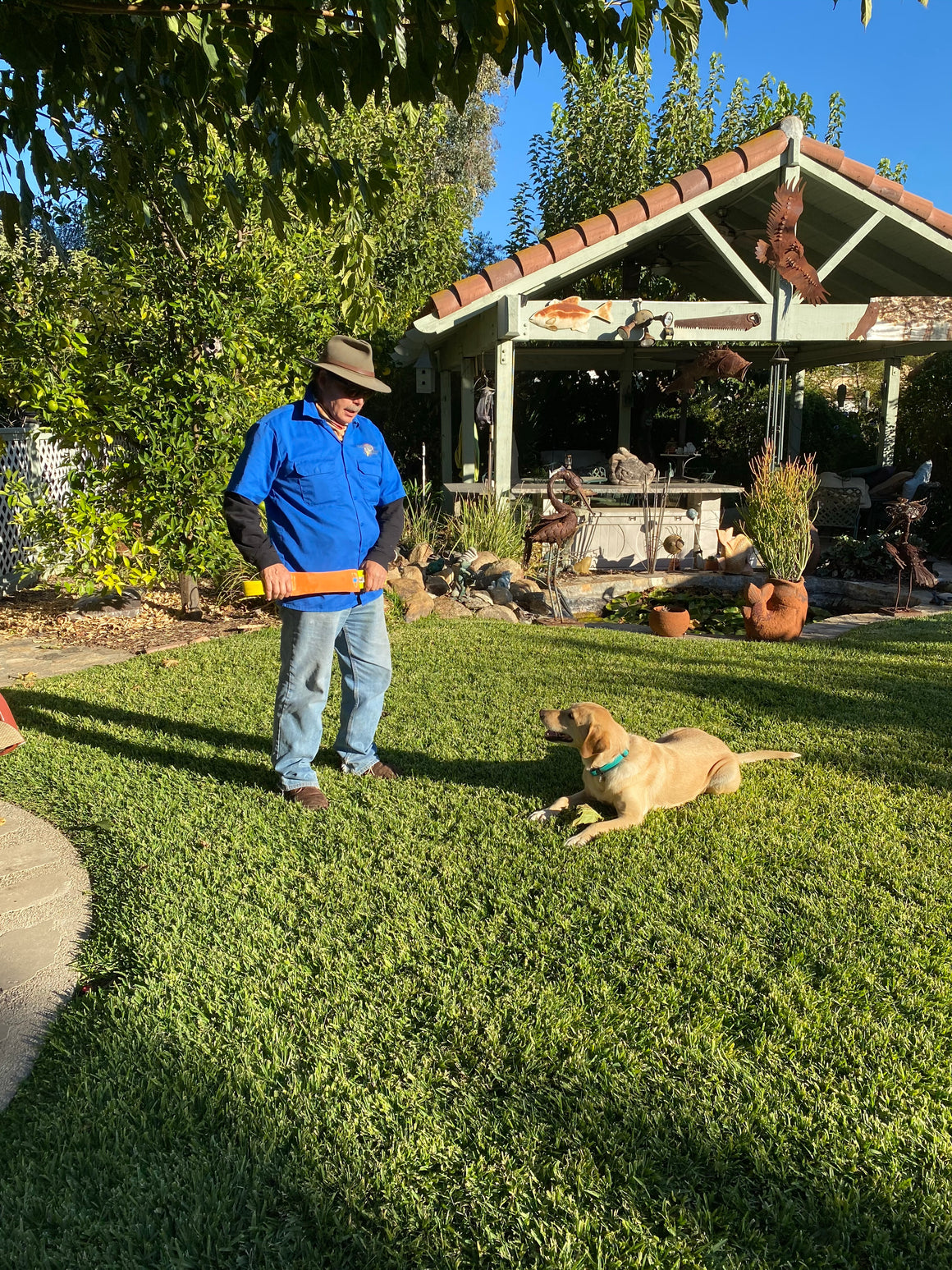 Dog Training Products