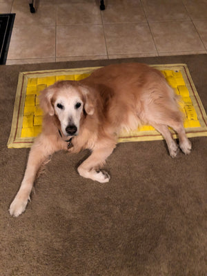 Dog/door mat